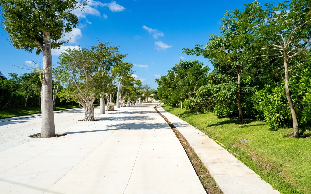 Terreno en venta en Santa Gertrudis Copo, Mérida — foto 1 de 19