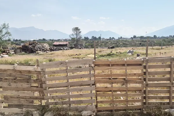 Terreno en venta en San Jose de los Cerritos, Saltillo — foto 3 de 4