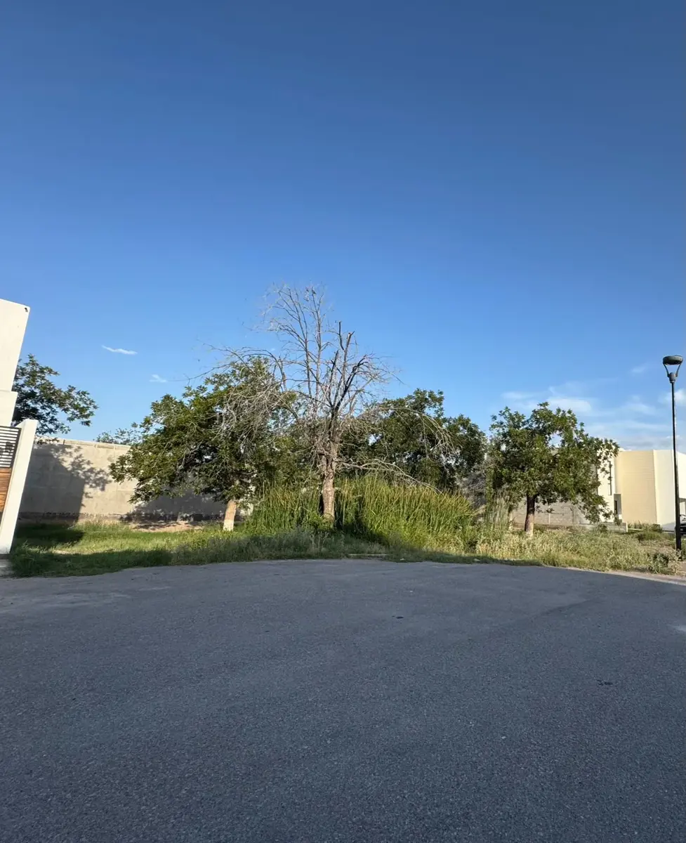 Terreno en venta en Las Trojes, Torreón — foto 1 de 2