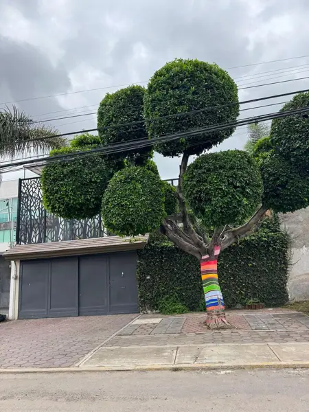 Casa en Venta Momoxpan