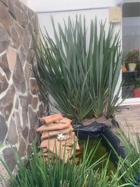 Casa en venta en Lomas de Angelópolis III, San Andrés Cholula — foto 3 de 10