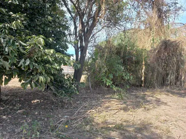 Terreno en venta en San Diego Cuachayotla, San Pedro Cholula — foto 3 de 5