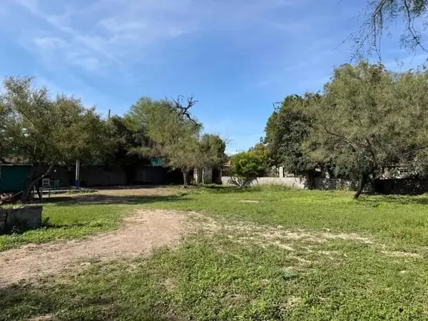 Finca-Rancho en venta en Higueras, Higueras — foto 3 de 8