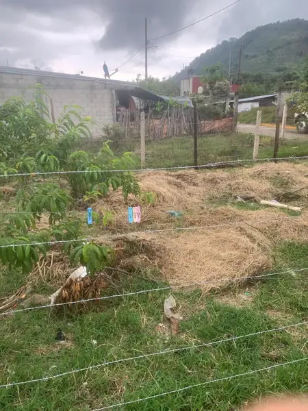 Terreno en venta en 14 de Octubre, Huauchinango — foto 3 de 12