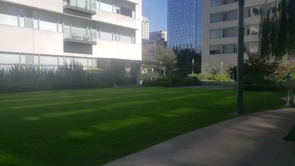 Departamento en renta en Granada, Miguel Hidalgo — foto 2 de 30