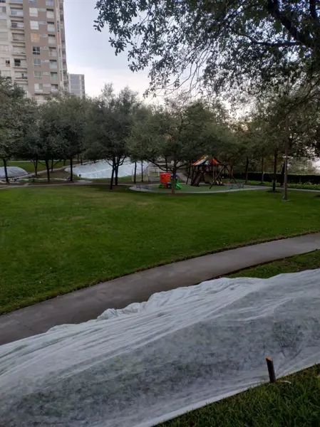 Departamento en venta en Dinastía, Monterrey — foto 3 de 40