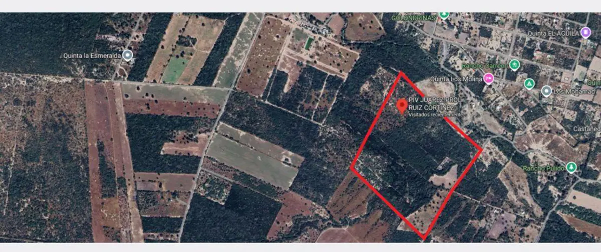 Terreno en renta en Sin colonia, Juárez — foto 1 de 2