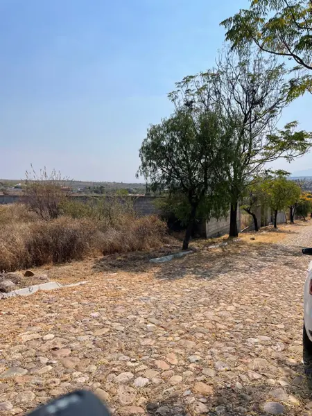 Terreno en venta en Álvaro Obregón (Santa Ana del Conde), León — foto 3 de 3