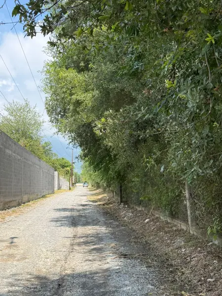 Terreno en venta en Huajuquito o los Cavazos, Santiago — foto 3 de 8
