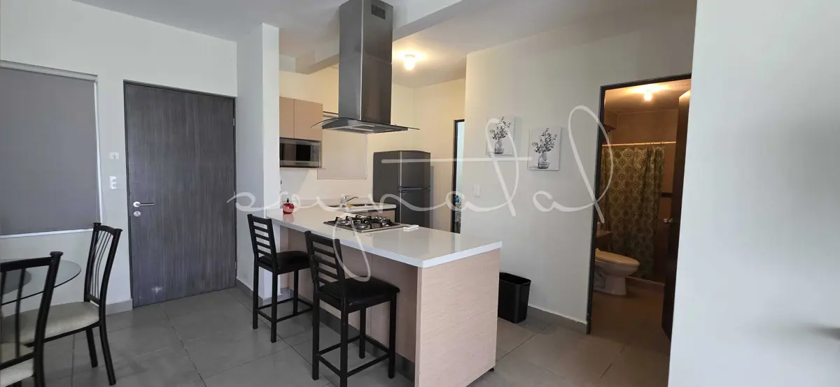 Departamento en renta en Living San Nicolás, San Nicolás de los Garza — foto 1 de 25