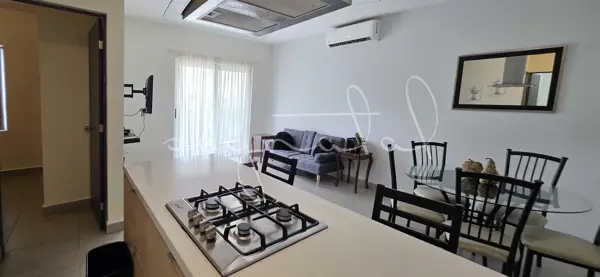 Departamento en renta en Living San Nicolás, San Nicolás de los Garza — foto 3 de 25