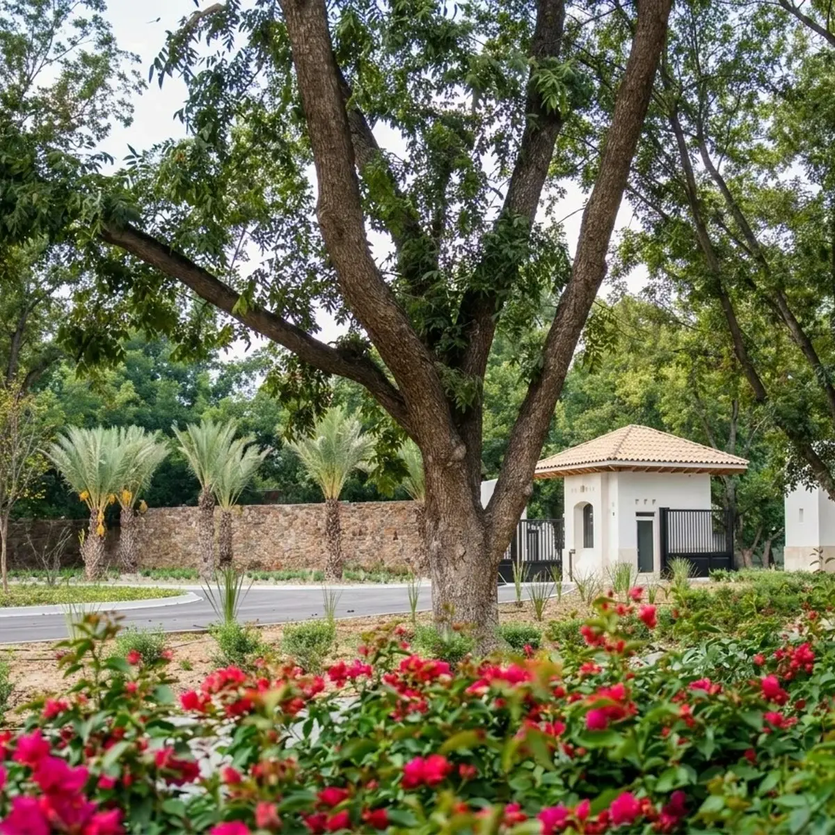 Terreno en venta en Peña Alta, Saltillo — foto 1 de 6