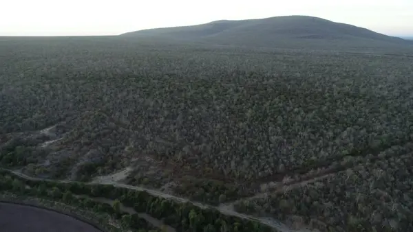 Terreno en venta en Cerro Bola, Salvador Alvarado, Sinaloa