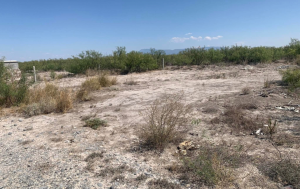 Terreno en venta en Ejido Saca de Bucareli, San Buenaventura — foto 3 de 4