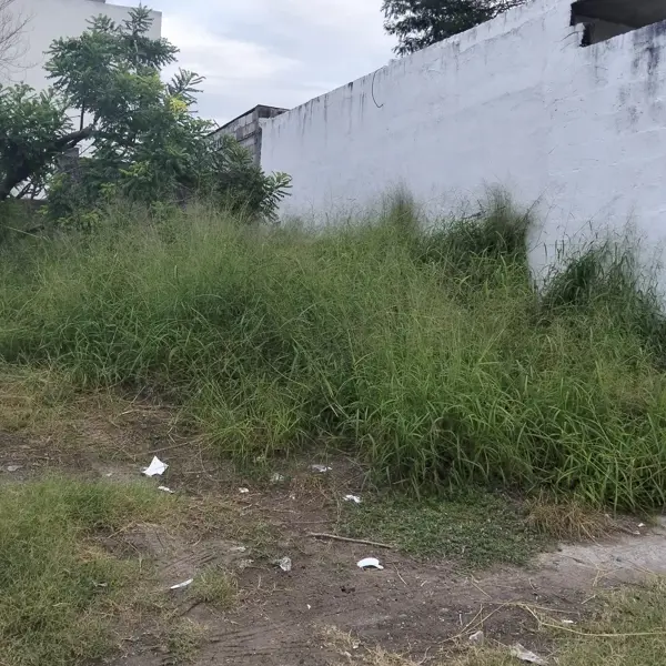 Terreno en venta en Lombardo Toledano, Veracruz — foto 2 de 6