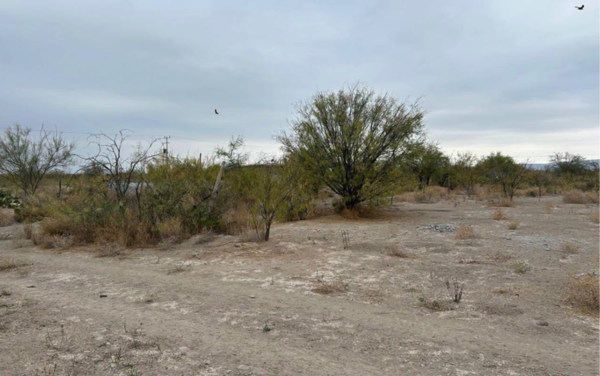 TERRENO RÚSTICO EN VENTA EN SAN BUENAVENTURA, COAHUILA