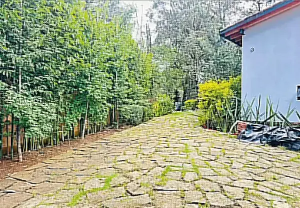 Casa en venta en Santa María Ahuacatlan, Valle de Bravo — foto 3 de 18