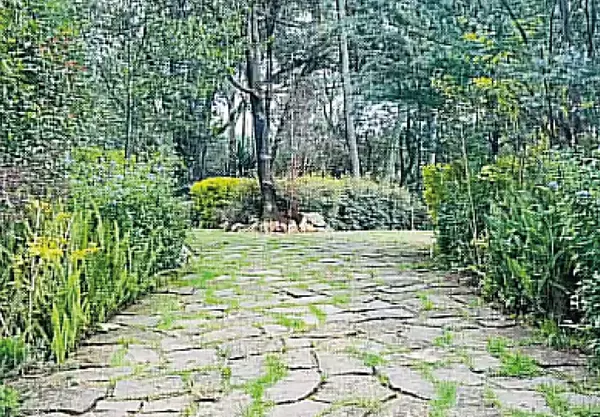 Casa en venta en Santa María Ahuacatlan, Valle de Bravo — foto 2 de 18