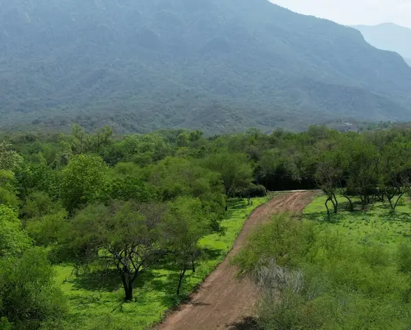 Terreno en Venta en Los Laureles, Montemorelos, Nuevo León 5