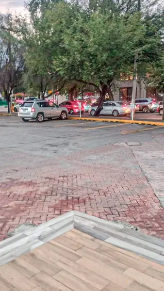Local en renta en Del Valle, San Pedro Garza García — foto 3 de 10