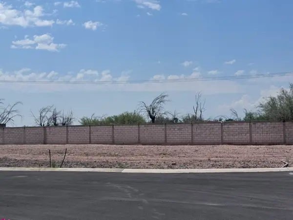 Terreno en venta en Ejido Ana, Torreón — foto 3 de 8