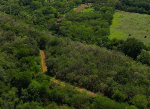 Terreno en Venta en Los Laureles, Montemorelos, Nuevo León 4