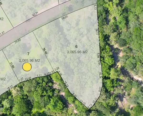 Terreno en Venta en Los Laureles, Montemorelos, Nuevo León 3
