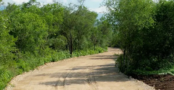 Terreno en Venta en Los Lirios (Hacienda los Lirios), Montemorelos, Nuevo León 4