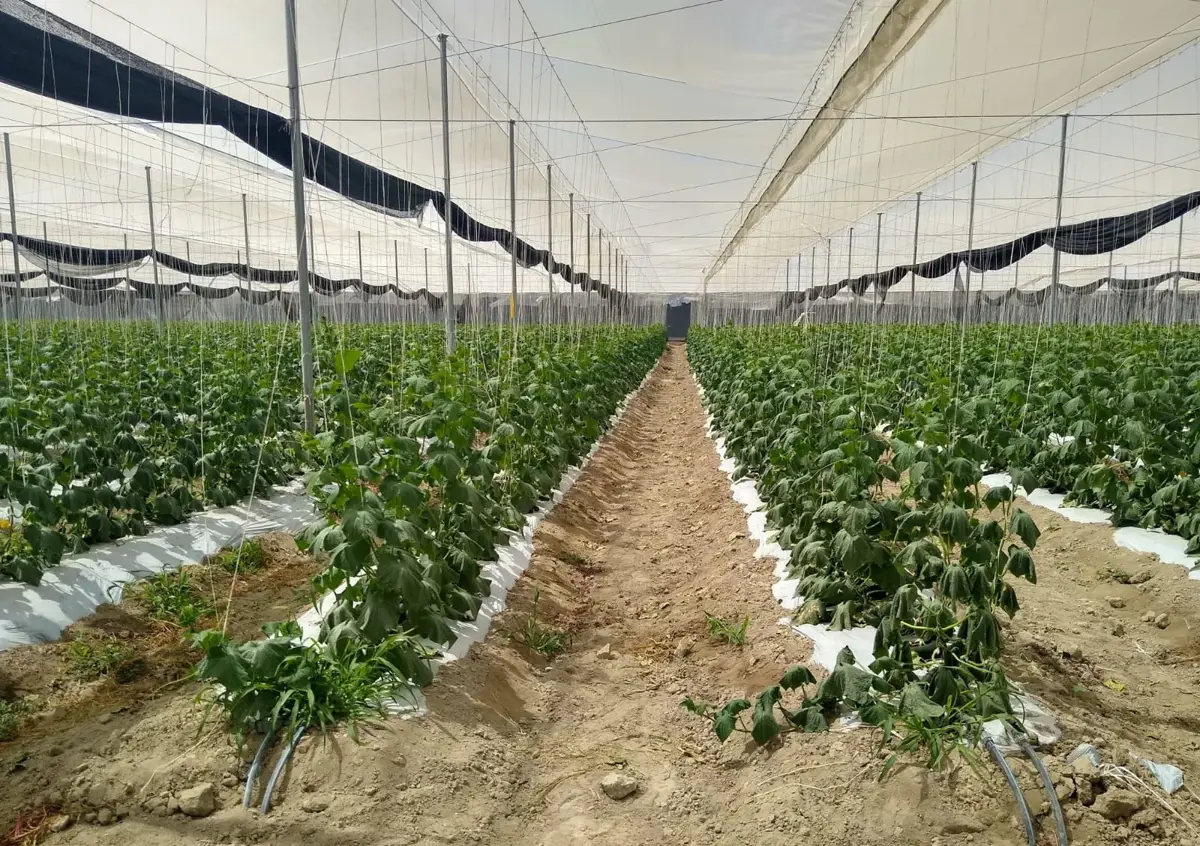 Finca-Rancho en venta en Tizoc, Parras — foto 1 de 32
