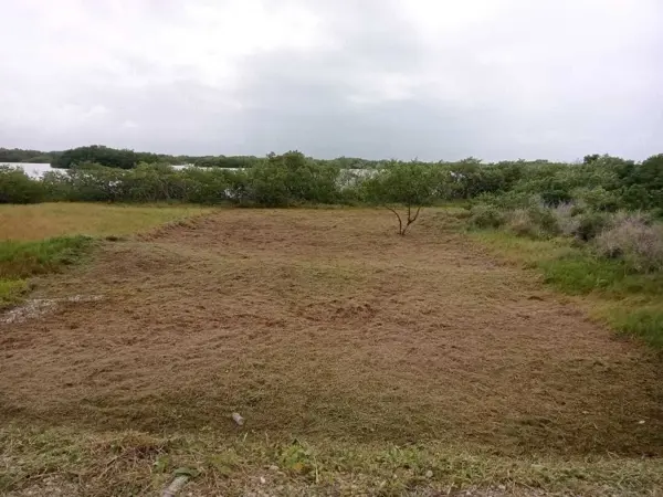 Terreno en venta en Santa Clara, Dzidzantún — foto 3 de 6