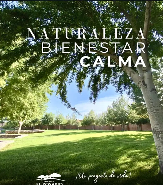 Terreno en venta en Hacienda del Rosario, Torreón — foto 2 de 6