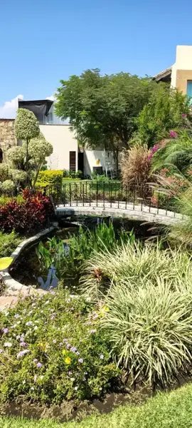 Casa en venta en Centro Jiutepec, Jiutepec — foto 3 de 29