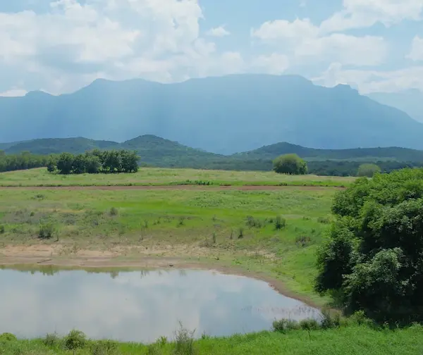 Terreno en Venta en Los Azahares, Montemorelos, Nuevo León 5