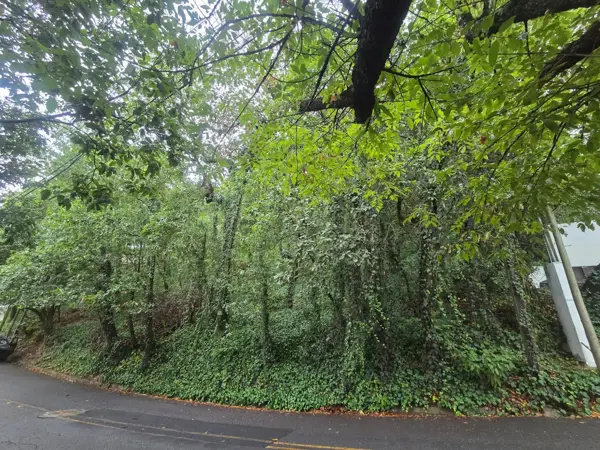 Terreno en Venta en Bosques de San Ángel Sector Palmillas, San Pedro Garza García, Nuevo León 3