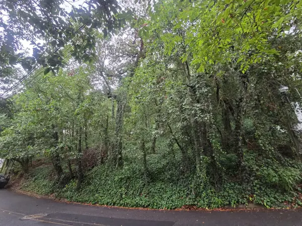 Terreno en Venta en Bosques de San Ángel Sector Palmillas, San Pedro Garza García, Nuevo León 1