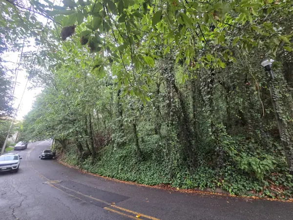 Terreno en Venta en Bosques de San Ángel Sector Palmillas, San Pedro Garza García, Nuevo León 5