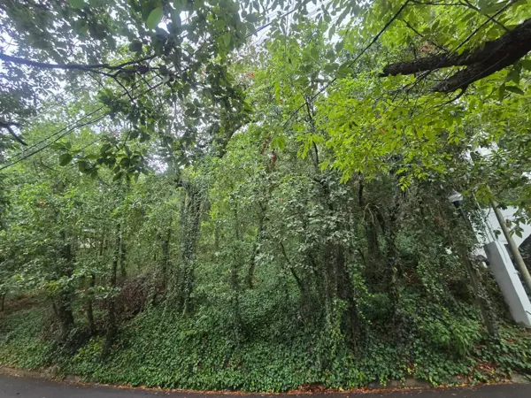 Terreno en Venta en Bosques de San Ángel Sector Palmillas, San Pedro Garza García, Nuevo León 4