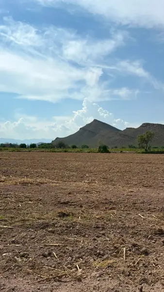PARCELA EN VENTA, EJIDO SEIS DE ENERO, LERDO