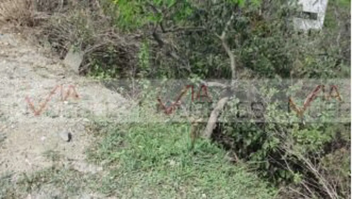 Terreno en venta en Renacimiento, Monterrey — foto 1 de 25