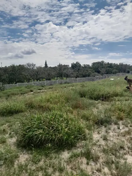 Terreno en venta en Las Huertas, Gómez Palacio — foto 3 de 4