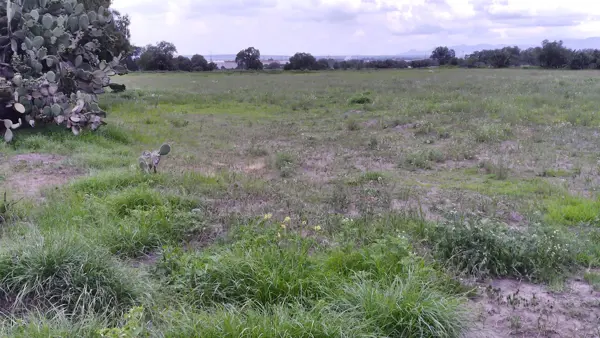 Terreno en venta en Huitzila, Tizayuca — foto 3 de 6