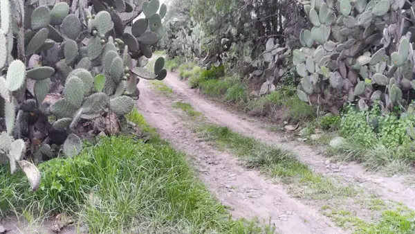 Terreno en venta en Huitzila, Tizayuca — foto 2 de 6