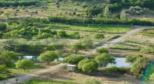 Terreno en venta en Montemorelos Centro, Montemorelos — foto 2 de 14