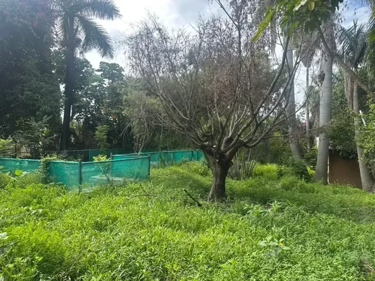 Casa en venta en Lomas del Mirador, Cuernavaca — foto 1 de 7