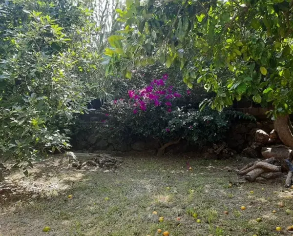 Terreno en venta en Ocotepec, Cuernavaca — foto 3 de 8