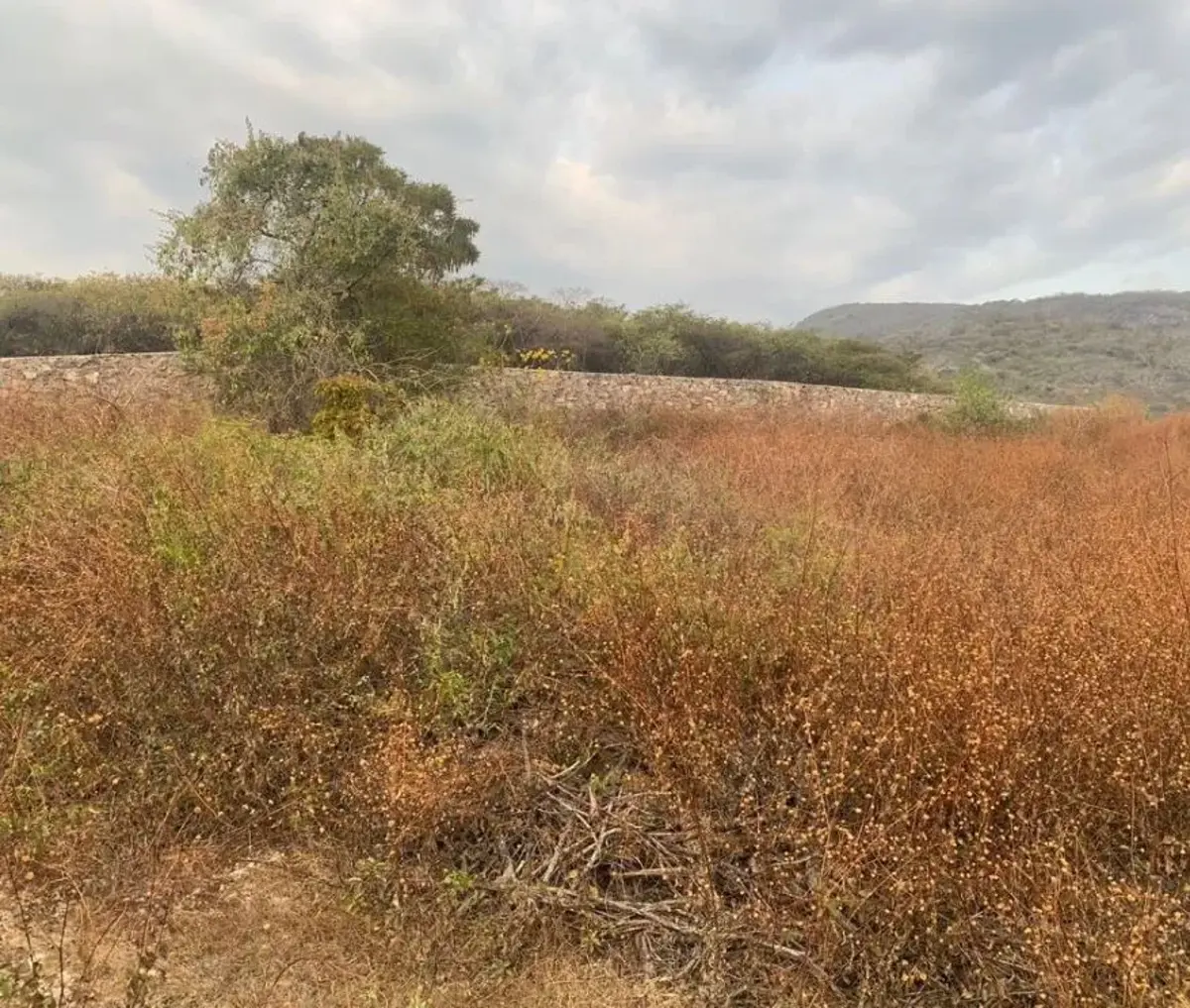Terreno en venta en Tepetzingo, Emiliano Zapata — foto 1 de 2