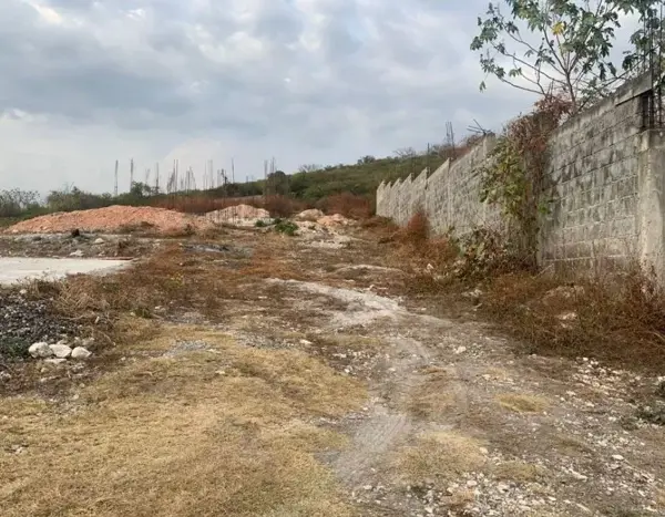 Terreno en venta en Tepetzingo, Emiliano Zapata — foto 2 de 2