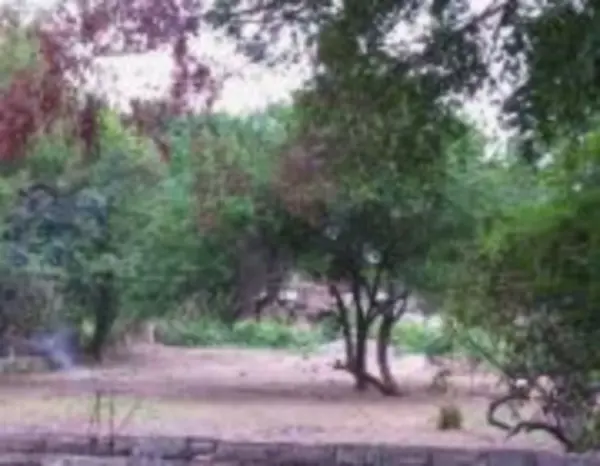 Terreno en venta en Jojutla Centro, Jojutla — foto 3 de 3