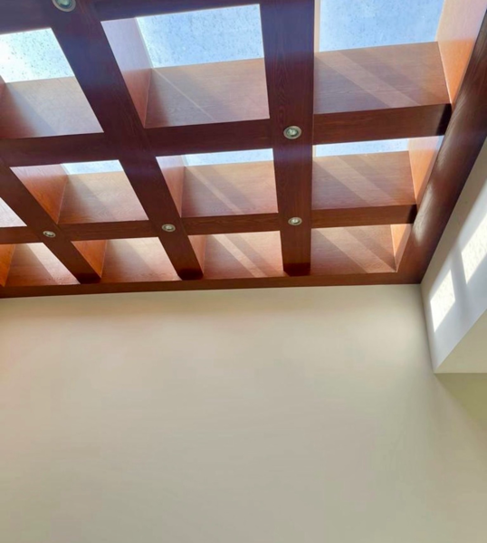 Casa en renta en Jardines del Campestre, León — foto 3 de 17