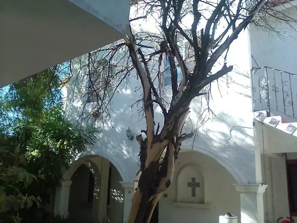Casa en venta en Torreon Jardin, Torreón — foto 3 de 15